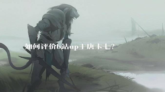 如何评价b站up主唐卡七？