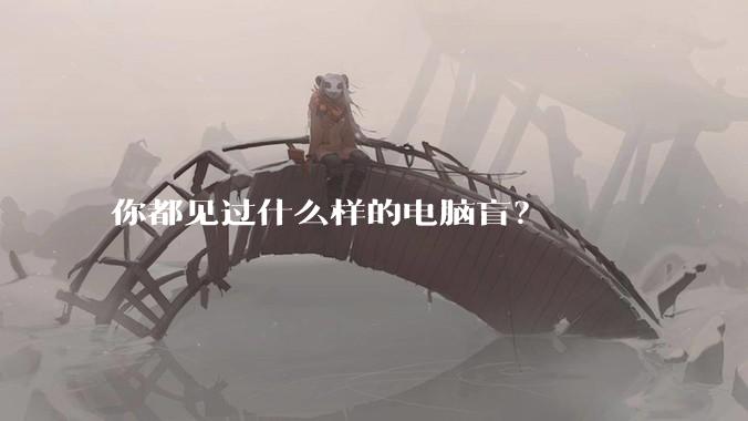 你都见过什么样的电脑盲？