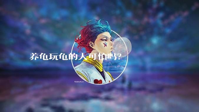 养龟玩龟的人可怕吗？