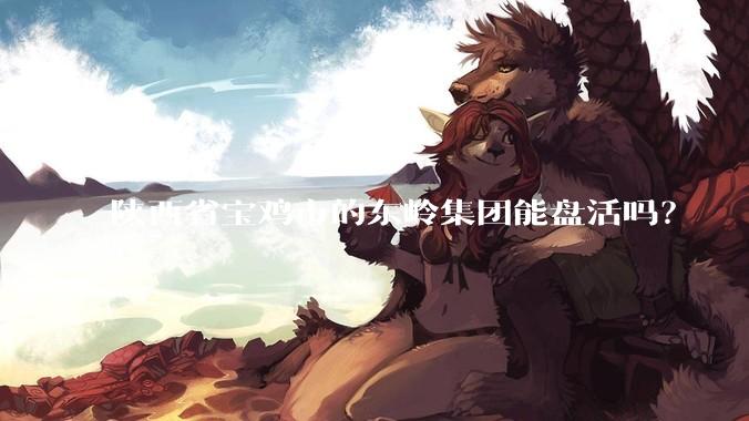 陕西省宝鸡市的东岭集团能盘活吗？