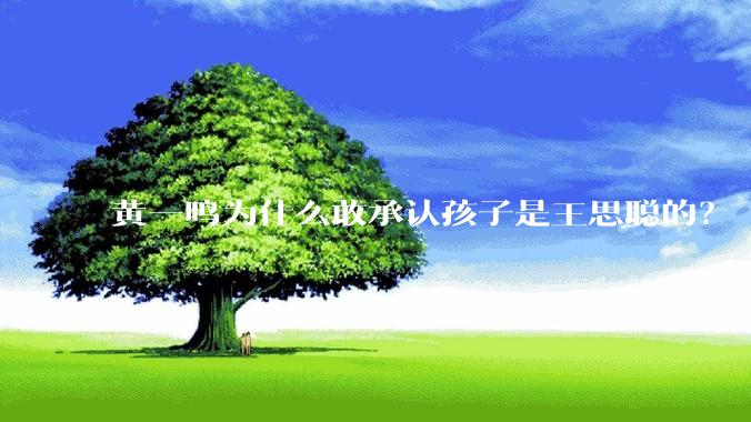 黄一鸣为什么敢承认孩子是王思聪的？