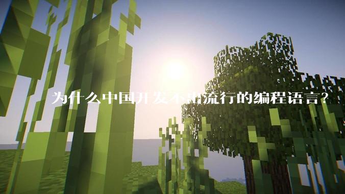 为什么中国开发不出流行的编程语言？
