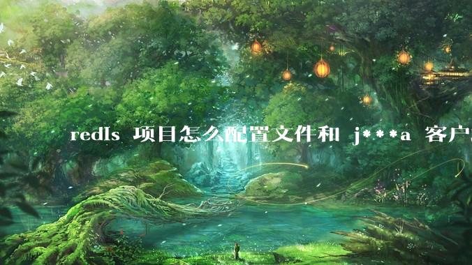 redis 项目怎么配置文件和 j***a 客户端连接？
