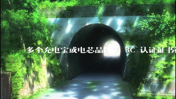 多个充电宝或电芯品牌的 3C 认证证书被暂停，涉及罗马仕、安克、绿联、倍思、安普瑞斯等，发生了什么？