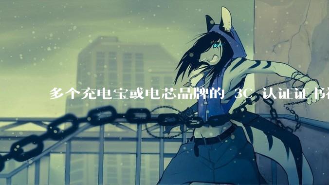 多个充电宝或电芯品牌的 3C 认证证书被暂停，涉及罗马仕、安克、绿联、倍思、安普瑞斯等，发生了什么？