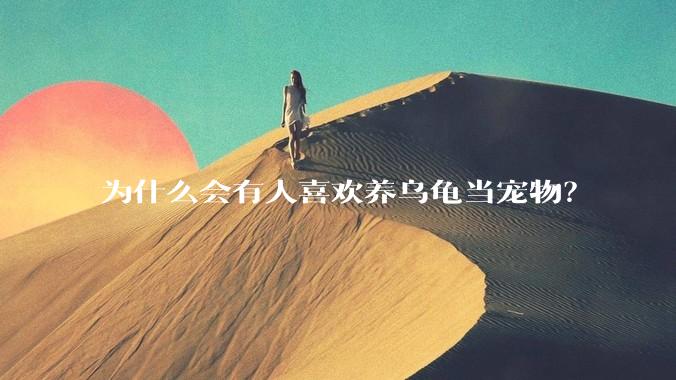 为什么会有人喜欢养乌龟当宠物？