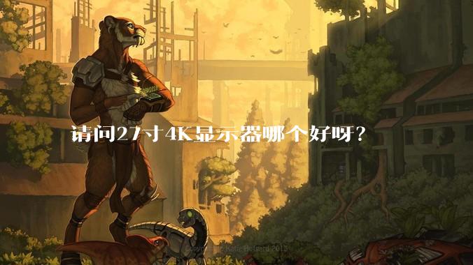 请问27寸4K显示器哪个好呀？